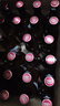 千島湖啤酒（CHEERDAY）精酿原浆230ml*24瓶180天短保全麦酿造聚会送礼热门商品 晒单实拍图