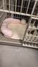 BNBNO夏天猫狗窝小型犬比熊泰迪夏凉窝冰丝凉席垫四季通用降温宠物睡床 实拍图