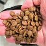 品胜电动车手机支架自行车电瓶车摩托车山地车骑手专用外卖导航装备通用雅迪爱玛 防震 实拍图