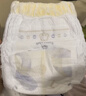 babycare易穿裤拉拉裤XXL码32片(＞15kg)短裤式婴儿尿不湿柔软透气易穿脱 实拍图