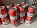 百威啤酒mini红罐淡色拉格255ml*24小罐整箱装京东自营喜酒踏春送礼 实拍图