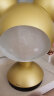 美耐普（MEINAIPU） 超亮led灯泡LED大龙珠圆泡E27螺口圆球泡高亮白光暖黄光LED灯泡 12W 【G125】直径12.5cm 白光 实拍图