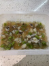 盖世芥末章鱼250g/盒 日料寿司食材解冻即食烧烤露营凉菜下酒菜下饭菜 实拍图