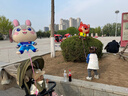 童泰（TONGTAI）女宝宝打底裤夏季薄款女童吸汗透气七分裤儿童休闲裤子白色80cm 实拍图