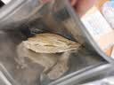 京东京造 深海鳕鱼片100g海味休闲小鱼干鱼零食烤鱼片孕妇海鲜青岛特产 实拍图