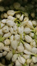 福茗源花草茶 茉莉花苞 特级品质横县三伏晴天茉莉花茶花蕾养生花茶100g 实拍图