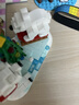 乐高（LEGO）(LEGO)积木拼装 11043炫酷百变积木盒+11023绿色底板 双组套 实拍图
