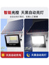 远盛达太阳能灯庭院灯家用户外投光灯新农村一拖二室外防水照明灯太阳灯 加强款一拖一 1000-W丨光照约100平丨配5米线丨 实拍图