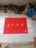 迪茵（DIYIN）出入平安门垫入户地垫欢迎光临迎宾防滑垫塑料防水丝圈地毯商铺室外大门口商用脚垫 红色出入平安80*120cm 实拍图