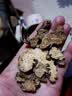 煜树 苍术100克 苍术片生苍术片仓术赤术青术仙术 实拍图