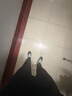 罗蒙（ROMON）休闲裤男士春夏季运动透气舒适冰丝直筒裤男弹力速干裤子男装黑3X 实拍图