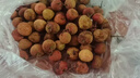 SMVP广东高州白糖罂荔枝【JD顺丰冷链送货上门】茂名荔枝现摘现发送礼 10斤礼盒装【送礼有面装-蕞蕞划算】净9.0斤 SS+级商超果【我蕞甜】冷链到家 实拍图