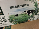 伊利金典纯牛奶 250ml*12盒 3.6g乳蛋白原生高钙 礼盒装 实拍图