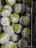 福东顺 小青柑普洱茶云南青柑熟普洱2026新茶自己喝简装500g 实拍图