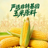 金鼎谷飘香食用油 玉米油5L 非转基因 物理压榨一级(蕴含植物甾醇) 实拍图