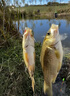 川泽轻口小碎目鲫鱼漂高灵敏纳米浮漂醒目浮标顿口防风浪抗走水鲤鱼漂 CA01-8加粗尾湖库远投吃铅3.5克 实拍图