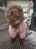 憨憨宠狗狗雨衣狗衣服小型犬全包四脚反光户外防风保暖冲锋衣服防水雨披 粉色 L号建议体重5-8斤 实拍图
