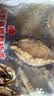 江船长冷冻大鲍鱼 净重400g 6粒袋装 火锅食材 冷冻海鲜 生鲜 实拍图