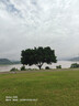 欣沁暗扣隐形防走光纽扣衬衫15mm透明扣儿童宝宝婴儿衣服字母扣送针线 实拍图
