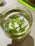 玺掌柜茶叶安吉白叶一号珍稀白茶2026新茶浓香明前绿茶自己喝口粮茶268g 实拍图