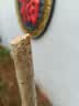 花期100天紫薇花树苗红火箭百日红紫薇耐寒耐旱工程庭院四季栽种 百日红紫薇三公分粗 实拍图