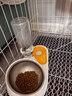 汪野君养猫新手全套用品猫砂盆套装喂食喂水器绒布猫窝猫玩具组合十件套 实拍图