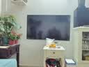 夏新官方正品【电视机排行前十名】无边框8K液晶全面屏超极清WiFi语音手机投屏客厅家用智能网络电视 55英寸  2026新品语音旗舰版 长98高58cm                      新款 实拍图