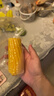 当季新货头茬东北黄甜糯玉米棒真空包装低脂黄糯大棒甜东北黏苞米 黄糯玉米12支净重2000g 130-180克/根 实拍图