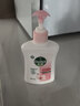 滴露（Dettol）洗手液滋润倍护250g*2 实拍图