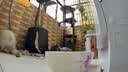 TELESIN(泰迅)大疆action6/5pro/4快拆背包夹nano gopro13肩带胸前固定insta360第一视角拍摄运动相机配件 实拍图