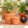 爱丽思（IRIS）特大号圆形花盆种树庭院超大加厚大盆景树木无花果蓝莓果树种植盆 9号米色 约7L (口径26.7cm) 实拍图