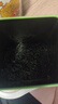 一杯香茶叶2026新茶云雾绿茶4盒共500g明前春茶日照足毛尖嫩芽送礼袋 实拍图