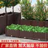 德沃多阳台楼顶种菜箱蔬菜种植箱神器种菜盆单排加深2联80*40*38加厚款 实拍图