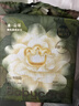 babycare金山茶花纸尿裤NB68片(<5kg)新生儿婴儿尿不湿超薄透气轻柔花苞裤 实拍图