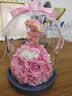 西罗斯（SEEROSE）永生花丘比特熊保鲜玫瑰花束高级圣诞情人节生日礼物送女朋友老婆 丘比特熊-粉色 福州仓发货-支持代写贺卡 实拍图