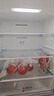 华凌美的出品271升冰箱小型三开门一级能效双变频风冷无霜冷冻冰箱HR-282WTP 实拍图
