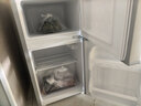 新飞冰箱小型租房用 一级能效冷 藏冷冻两用1-2人家用小冰箱 出租房双门电冰箱办公室两门 26年升级 58A一级能效【高性价比】银 实拍图