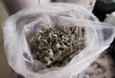 神农金康莓茶250g 特级野生张家界三月新茶搭湖南永顺莓茶霉茶藤茶 实拍图