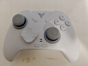 飞智冰原狼4多模版无线游戏手柄 类xbox 力调节摇杆双切扳机 switch电脑PC手机steam体感NS 仁王3 实拍图
