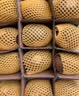 佳沛（zespri）新西兰 阳光金奇异果12粒特大果单果124-146g 猕猴桃水果礼盒 实拍图