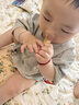 英氏（Engnice）婴幼儿磨牙棒香橙味6个月以上婴儿宝宝零食辅食高钙磨牙饼干64g 实拍图