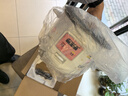 半球电饭煲电饭锅家用大容量可蒸煮电饭煲1-2人  不粘锅多功能一键操作 老式1.5-6L升单人宿舍用迷你 白色 1.5L 特厚内胆不粘【无蒸笼】1人用 实拍图