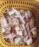 京东跑步鸡皖南土鸡黄油老母鸡 2斤 450天土鸡月子餐煲汤炖汤食材 实拍图