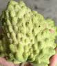 京鲜生云南牛奶释迦果番荔枝净重2斤装 单果250g+生鲜水果源头直发 实拍图