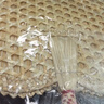 TaTanice 蒲扇 手工草编无骨蒲扇子夏季乘凉扇手摇轻巧小蒲扇粽叶扇28cm 实拍图