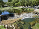 京东京造鲜来多100%NFC椰子水1L*6盒天然电解质椰汁果汁无添加糖泰国 实拍图