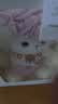 熊猫熊小羊玩偶娃娃公仔毛绒玩具女孩生日礼物女生送女朋友儿童睡觉抱枕 实拍图