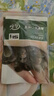 寿禾 碗莲种子苗荷花水培无土栽培花种籽 潍育寿艺开口碗莲种子30粒*2 实拍图