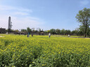智国者【无线充电款】手机散热器降温磁吸背夹式平板打游戏专用结冰直播半导体制冷适用苹果iqoo华硕小米 实拍图