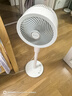 艾美特（AIRMATE）【天鹅MAX】空气循环扇直流变频家用大风力电风扇卧室轻音一级能效负离子净化语音落地扇 SRDI151 实拍图